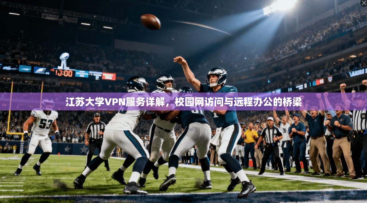 江苏大学VPN服务详解，校园网访问与远程办公的桥梁