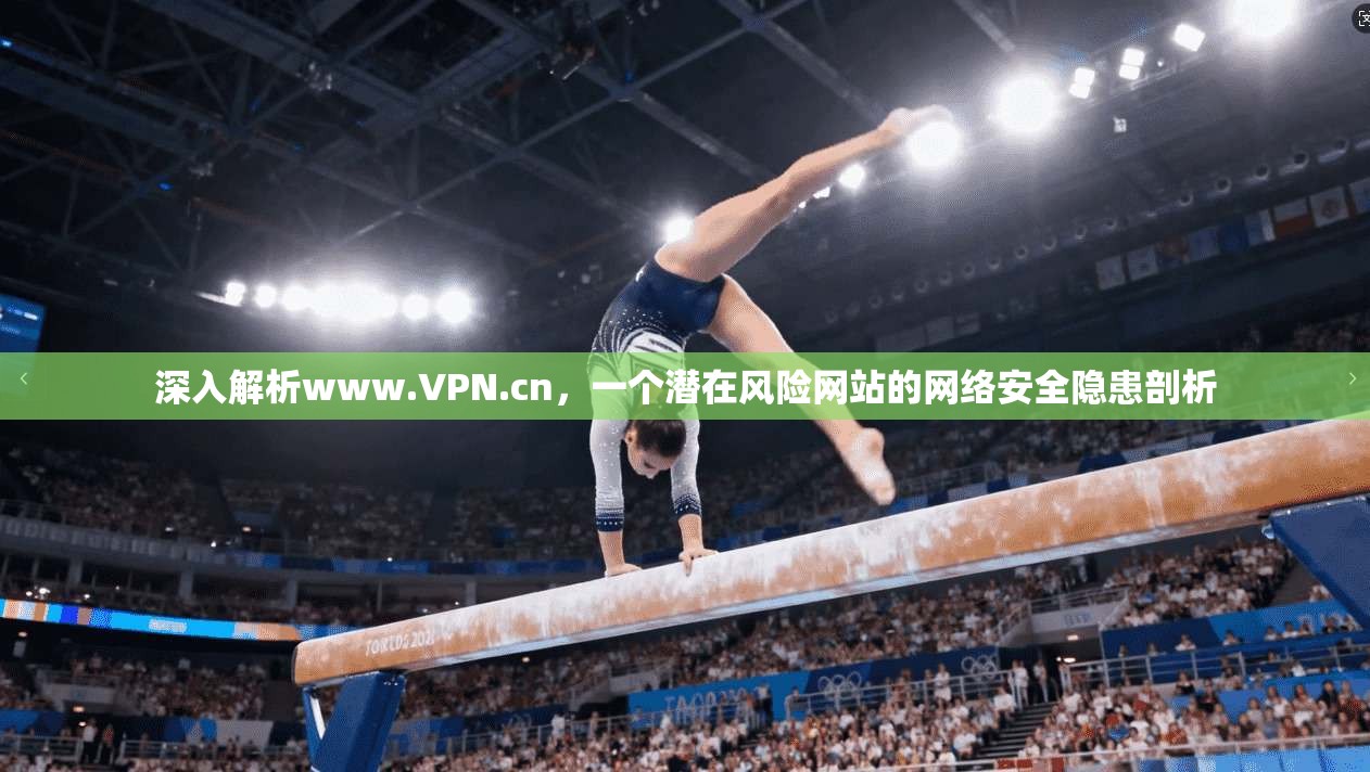 深入解析www.VPN.cn，一个潜在风险网站的网络安全隐患剖析