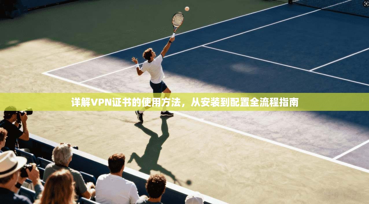 详解VPN证书的使用方法，从安装到配置全流程指南