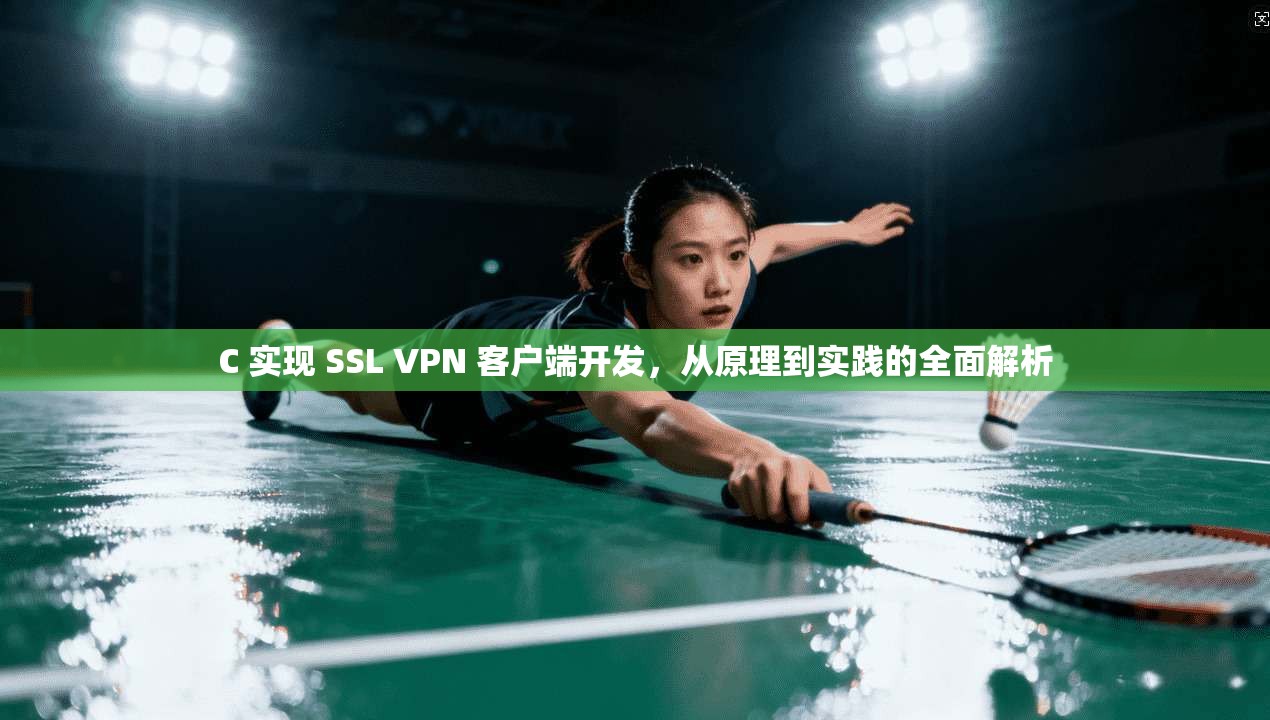 C 实现 SSL VPN 客户端开发，从原理到实践的全面解析