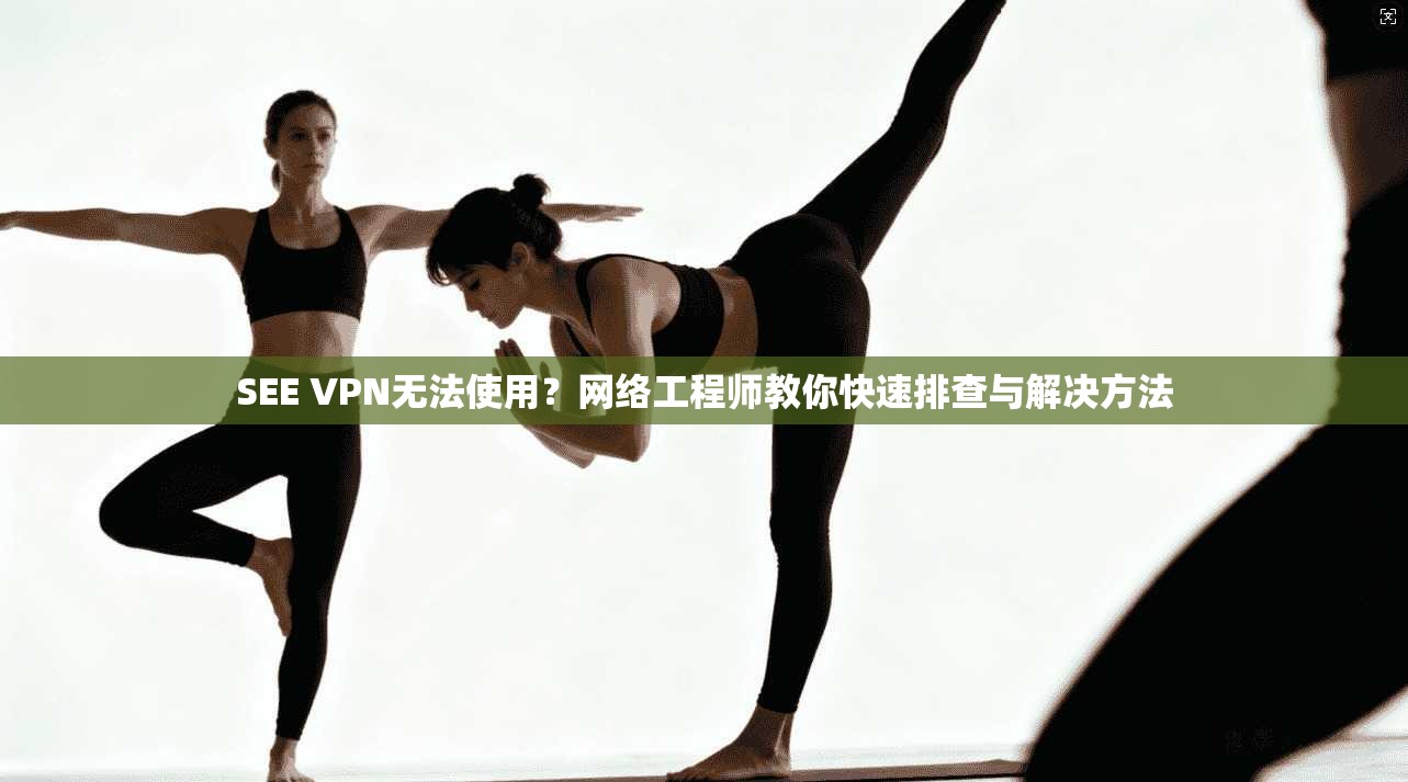 SEE VPN无法使用?网络工程师教你快速排查与解决方法 SEE VPN无法使用?网络工程师教你快速排查与解决方法