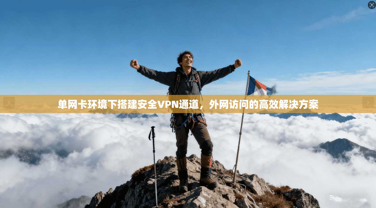 单网卡环境下搭建安全VPN通道,外网访问的高效解决方案 单网卡环境下搭建安全VPN通道,外网访问的高效解决方案