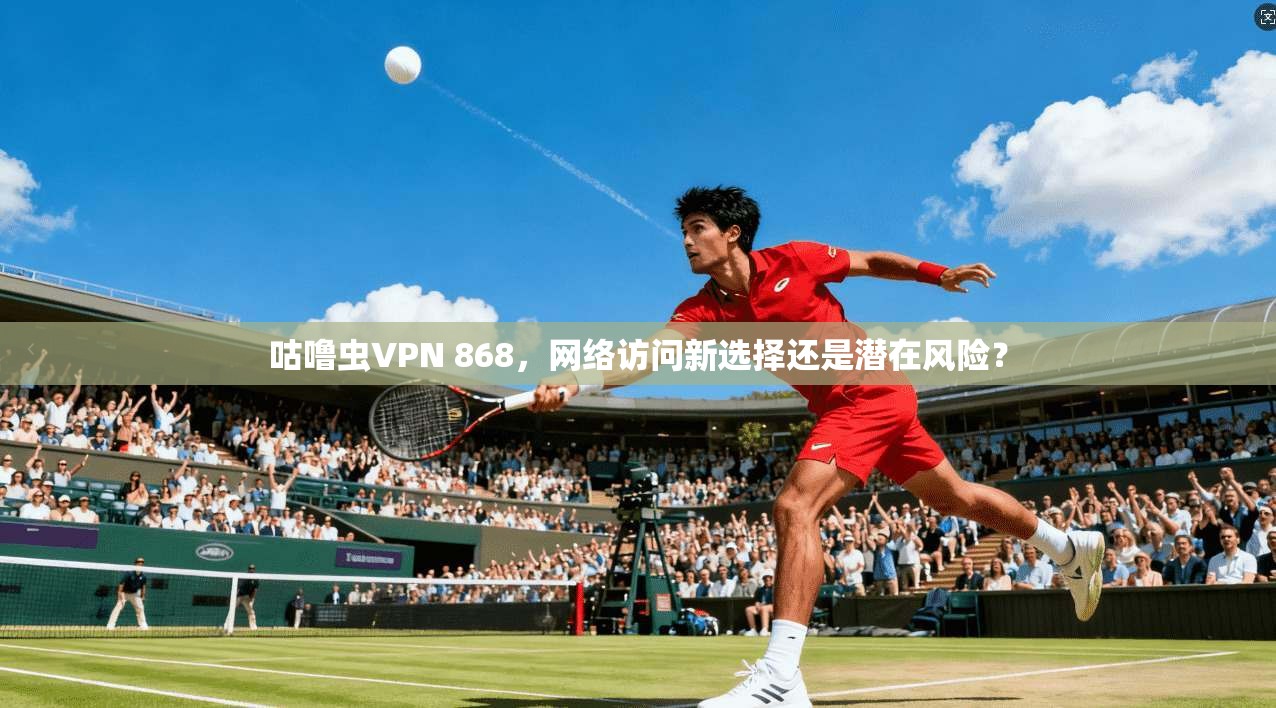 咕噜虫VPN 868,网络访问新选择还是潜在风险? 咕噜虫VPN 868,网络访问新选择还是潜在风险?