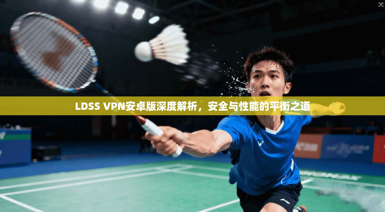 LDSS VPN安卓版深度解析,安全与性能的平衡之道 LDSS VPN安卓版深度解析,安全与性能的平衡之道