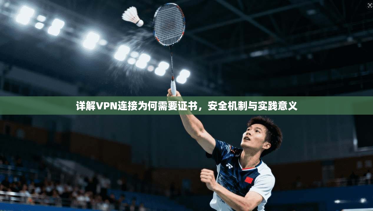 详解VPN连接为何需要证书,安全机制与实践意义 详解VPN连接为何需要证书,安全机制与实践意义