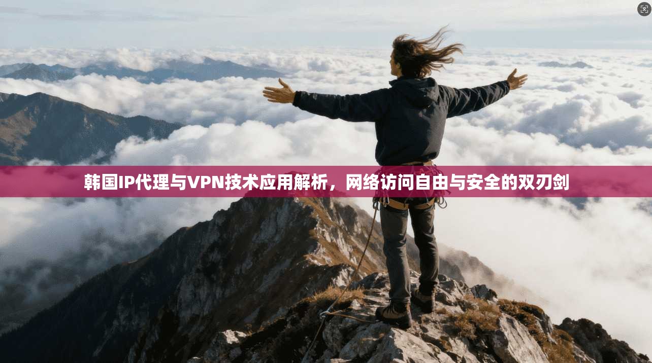 韩国IP代理与VPN技术应用解析，网络访问自由与安全的双刃剑