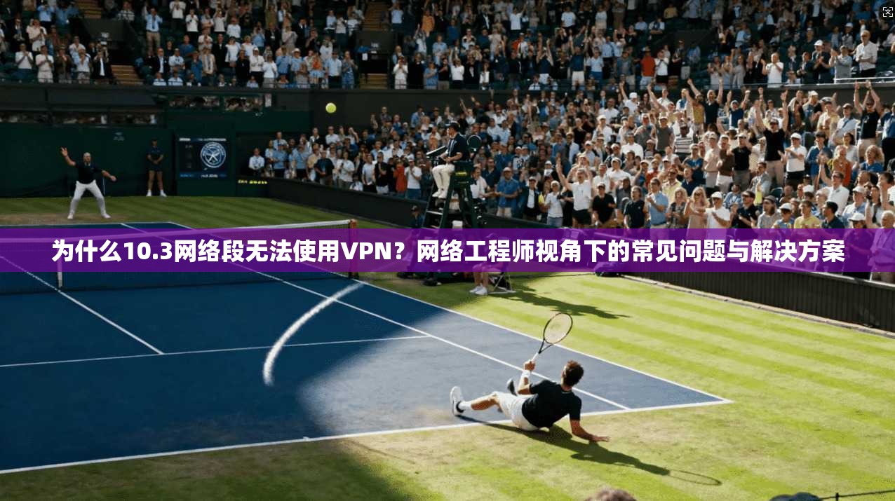 为什么10.3网络段无法使用VPN?网络工程师视角下的常见问题与解决方案 为什么10.3网络段无法使用VPN?网络工程师视角下的常见问题与解决方案