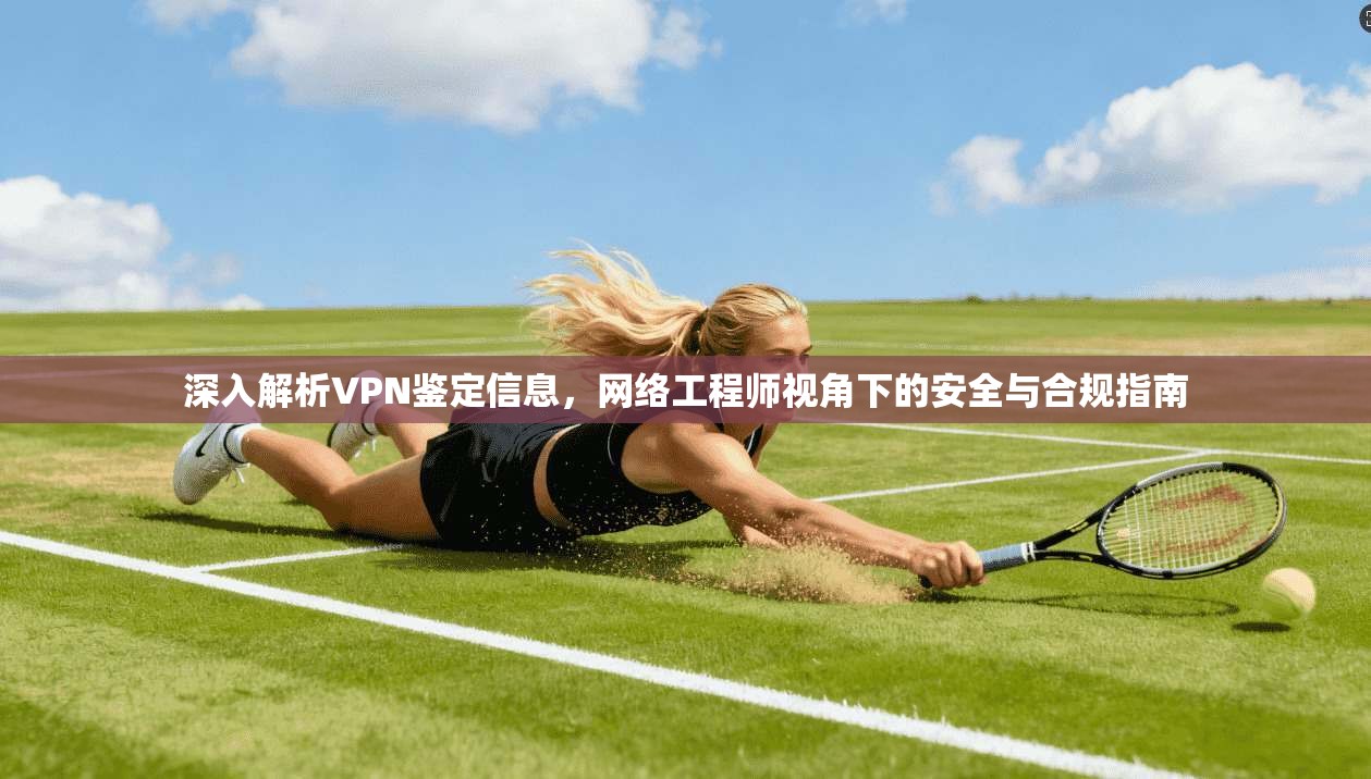 深入解析VPN鉴定信息,网络工程师视角下的安全与合规指南 深入解析VPN鉴定信息,网络工程师视角下的安全与合规指南