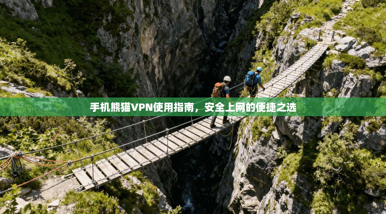 手机熊猫VPN使用指南,安全上网的便捷之选 手机熊猫VPN使用指南,安全上网的便捷之选