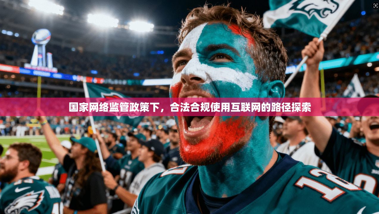 国家网络监管政策下,合法合规使用互联网的路径探索 国家网络监管政策下,合法合规使用互联网的路径探索