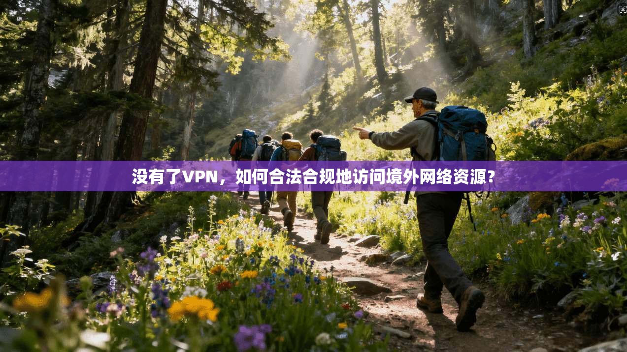 没有了VPN,如何合法合规地访问境外网络资源? 没有了VPN,如何合法合规地访问境外网络资源?