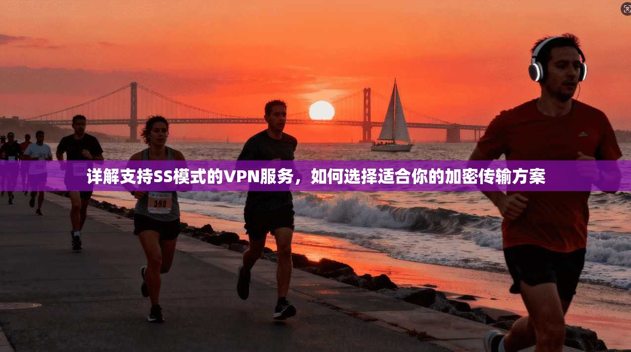 详解支持SS模式的VPN服务,如何选择适合你的加密传输方案 详解支持SS模式的VPN服务,如何选择适合你的加密传输方案