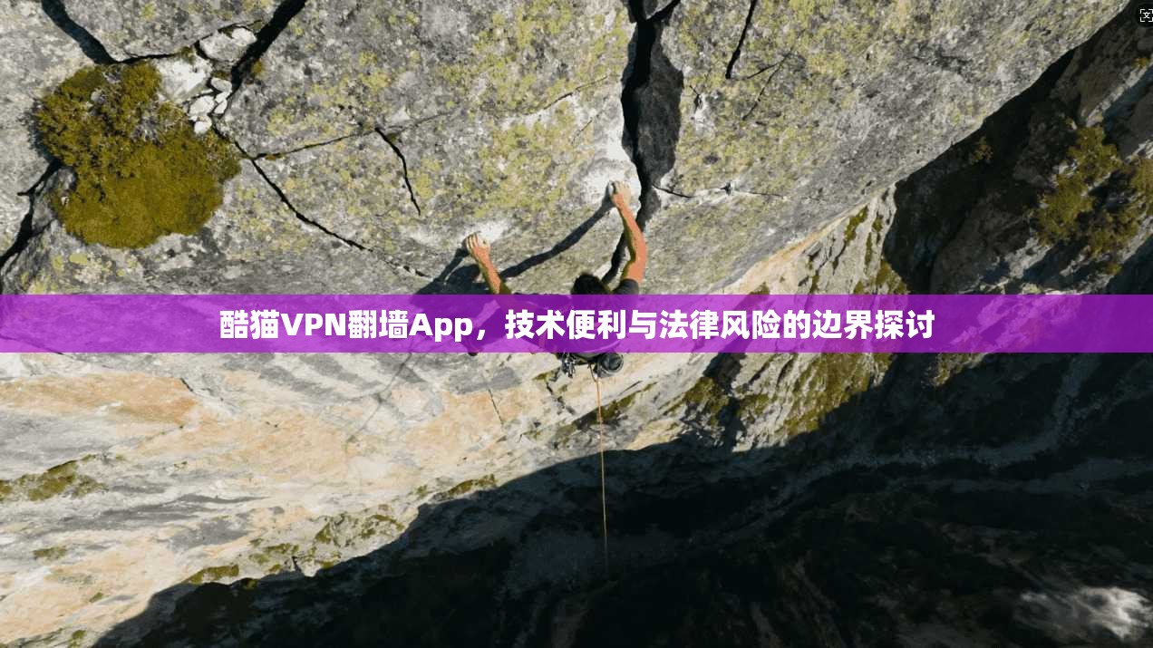 酷猫VPN翻墙App,技术便利与法律风险的边界探讨 酷猫VPN翻墙App,技术便利与法律风险的边界探讨