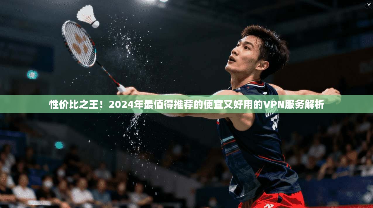 性价比之王！2024年最值得推荐的便宜又好用的VPN服务解析