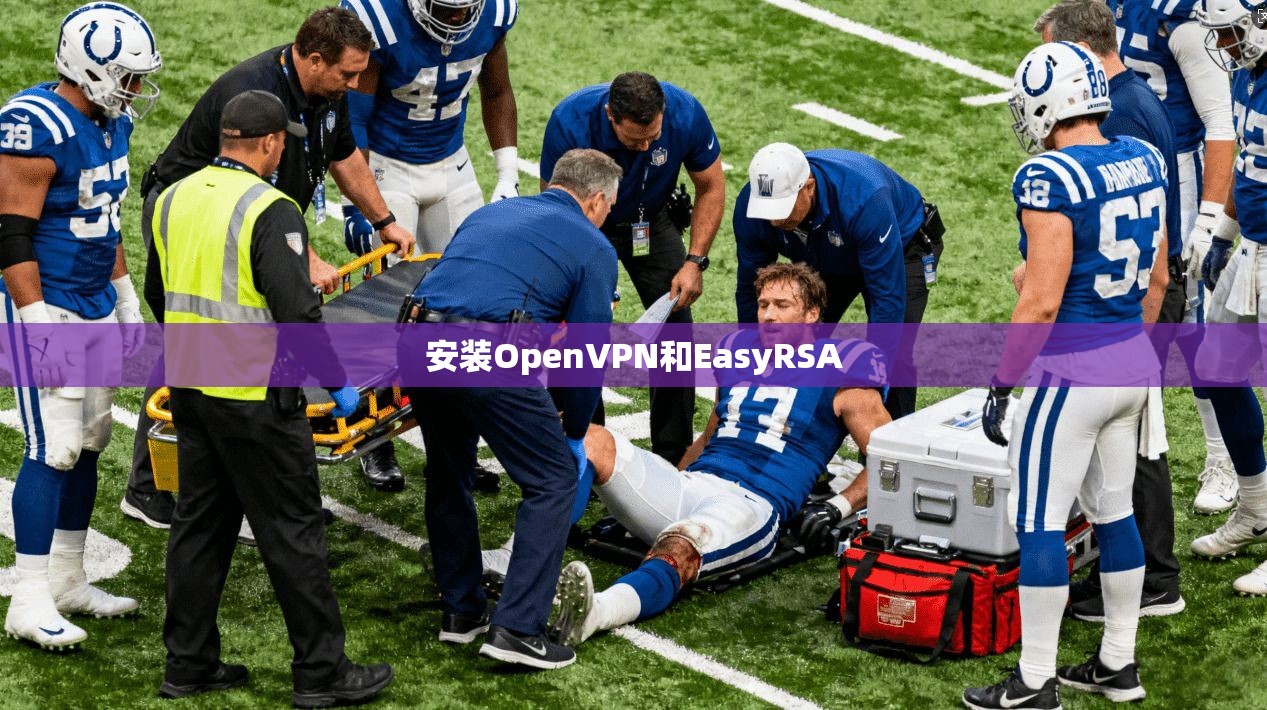 安装OpenVPN和EasyRSA 安装OpenVPN和EasyRSA