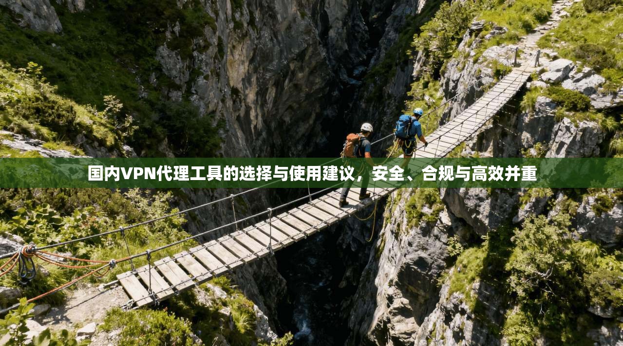 国内VPN代理工具的选择与使用建议,安全、合规与高效并重 国内VPN代理工具的选择与使用建议,安全、合规与高效并重