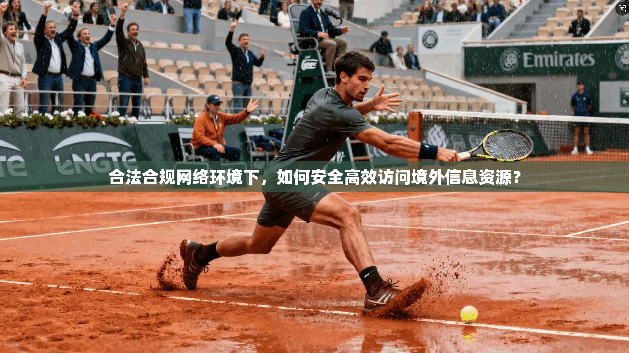 合法合规网络环境下，如何安全高效访问境外信息资源？