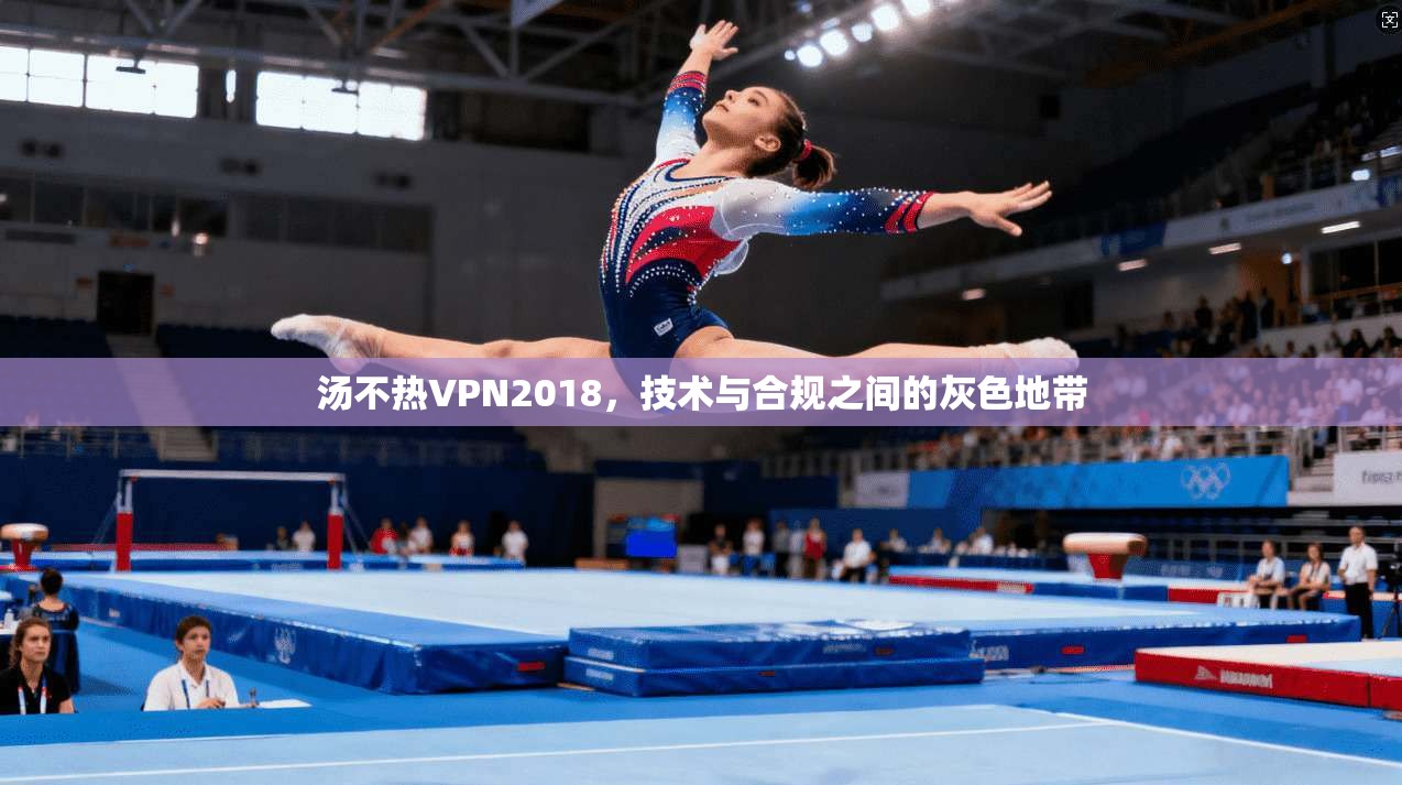 汤不热VPN2018,技术与合规之间的灰色地带 汤不热VPN2018,技术与合规之间的灰色地带