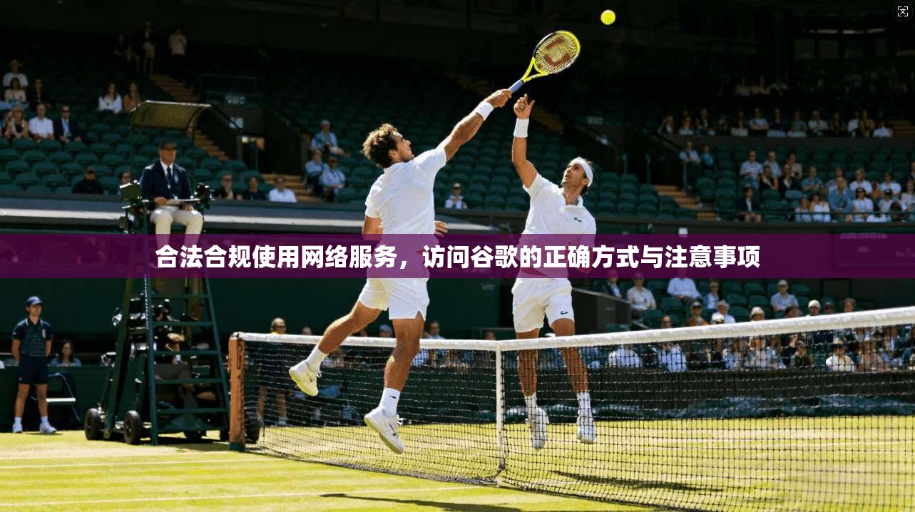 合法合规使用网络服务,访问谷歌的正确方式与注意事项 合法合规使用网络服务,访问谷歌的正确方式与注意事项
