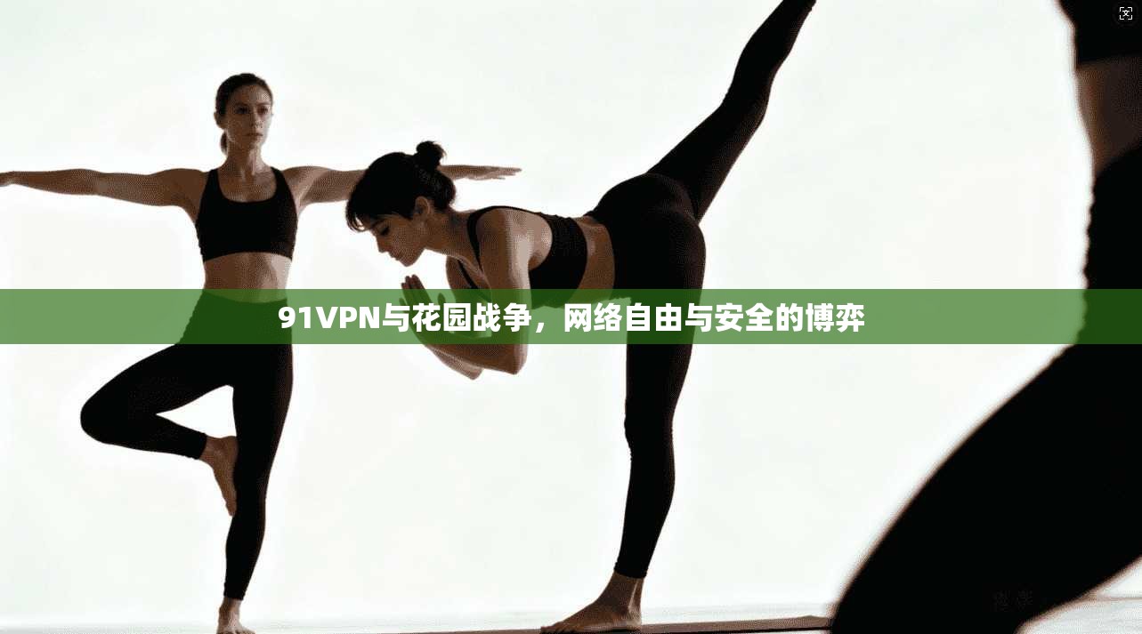 91VPN与花园战争,网络自由与安全的博弈 91VPN与花园战争,网络自由与安全的博弈