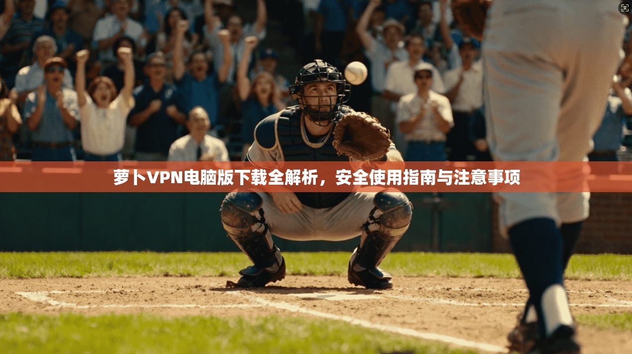 萝卜VPN电脑版下载全解析，安全使用指南与注意事项