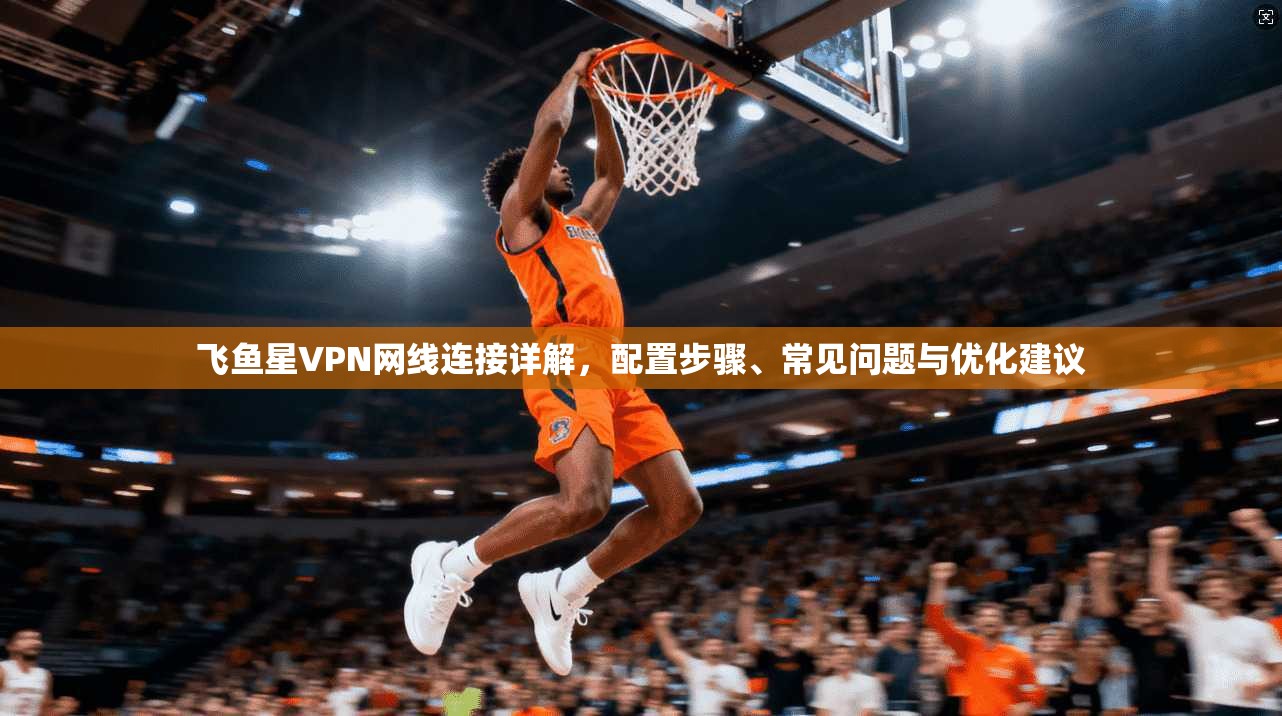 飞鱼星VPN网线连接详解,配置步骤、常见问题与优化建议 飞鱼星VPN网线连接详解,配置步骤、常见问题与优化建议