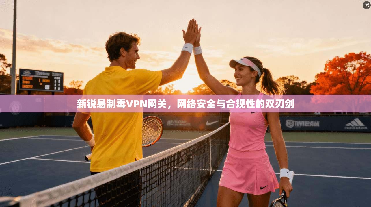 新锐易制毒VPN网关,网络安全与合规性的双刃剑 新锐易制毒VPN网关,网络安全与合规性的双刃剑