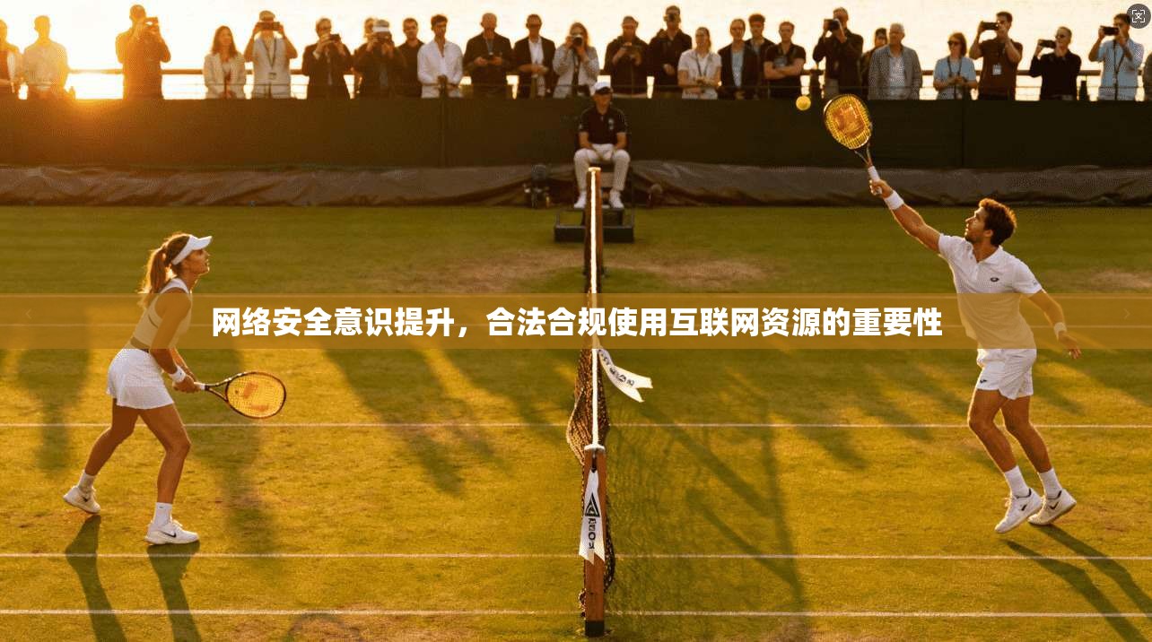网络安全意识提升,合法合规使用互联网资源的重要性 网络安全意识提升,合法合规使用互联网资源的重要性