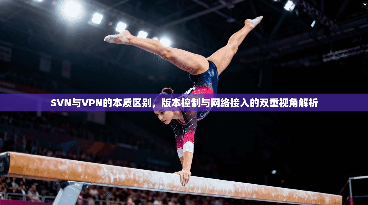 SVN与VPN的本质区别，版本控制与网络接入的双重视角解析