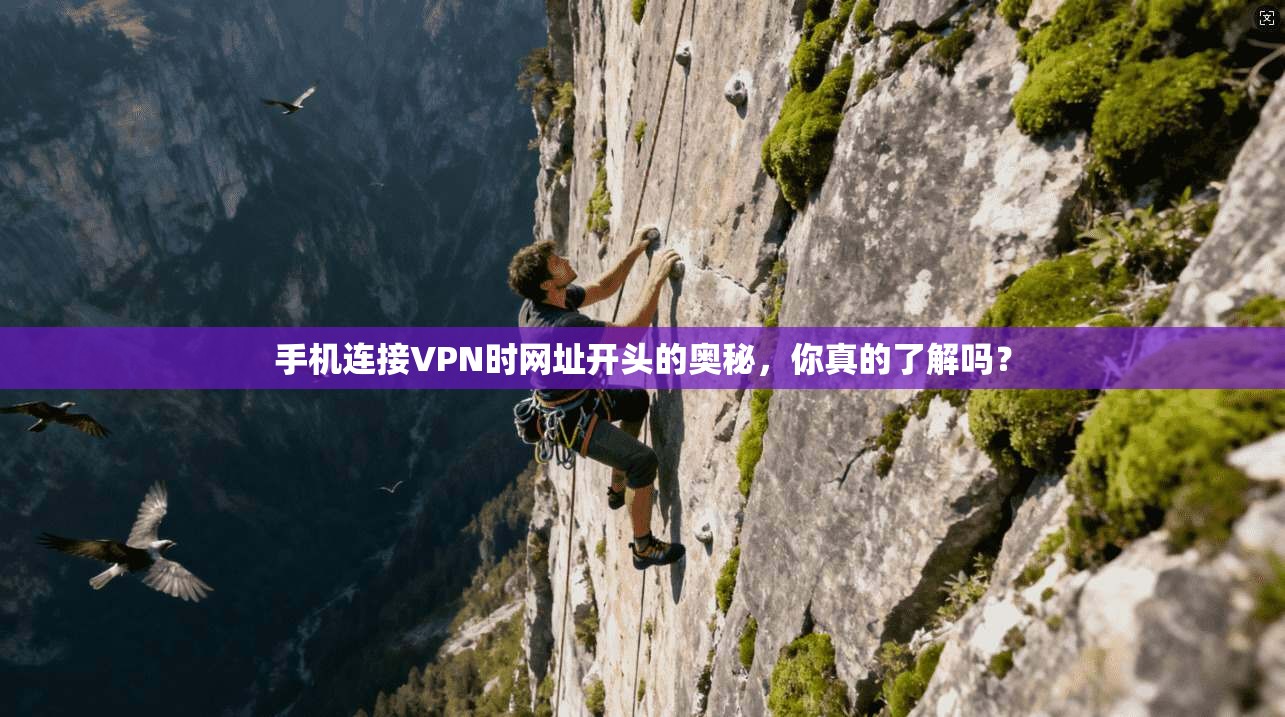 手机连接VPN时网址开头的奥秘,你真的了解吗? 手机连接VPN时网址开头的奥秘,你真的了解吗?