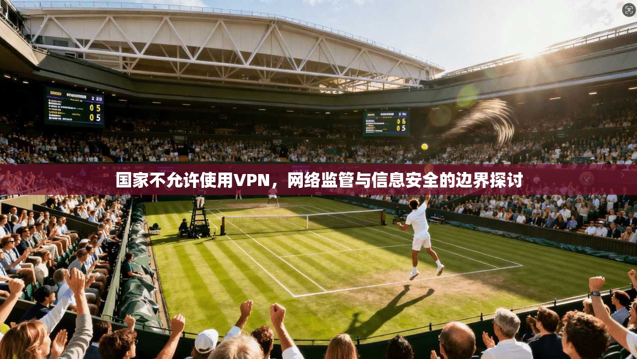 国家不允许使用VPN,网络监管与信息安全的边界探讨 国家不允许使用VPN,网络监管与信息安全的边界探讨