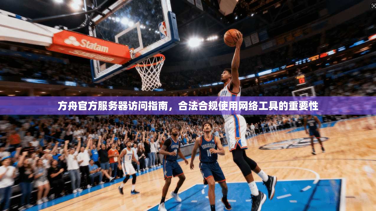 方舟官方服务器访问指南，合法合规使用网络工具的重要性