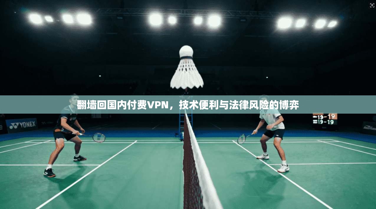 翻墙回国内付费VPN,技术便利与法律风险的博弈 翻墙回国内付费VPN,技术便利与法律风险的博弈