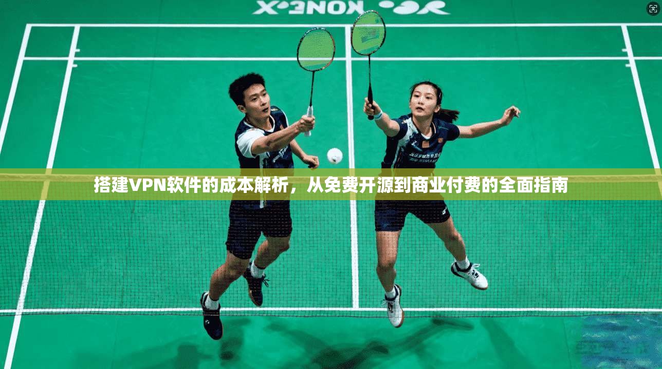 搭建VPN软件的成本解析，从免费开源到商业付费的全面指南