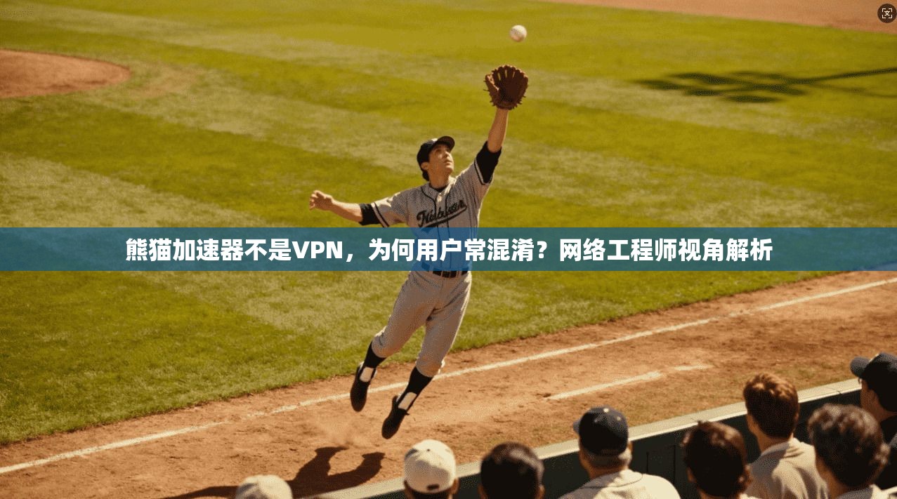熊猫加速器不是VPN,为何用户常混淆?网络工程师视角解析 熊猫加速器不是VPN,为何用户常混淆?网络工程师视角解析