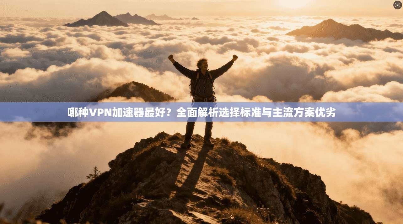 哪种VPN加速器最好?全面解析选择标准与主流方案优劣 哪种VPN加速器最好?全面解析选择标准与主流方案优劣