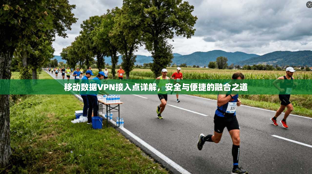 移动数据VPN接入点详解,安全与便捷的融合之道 移动数据VPN接入点详解,安全与便捷的融合之道