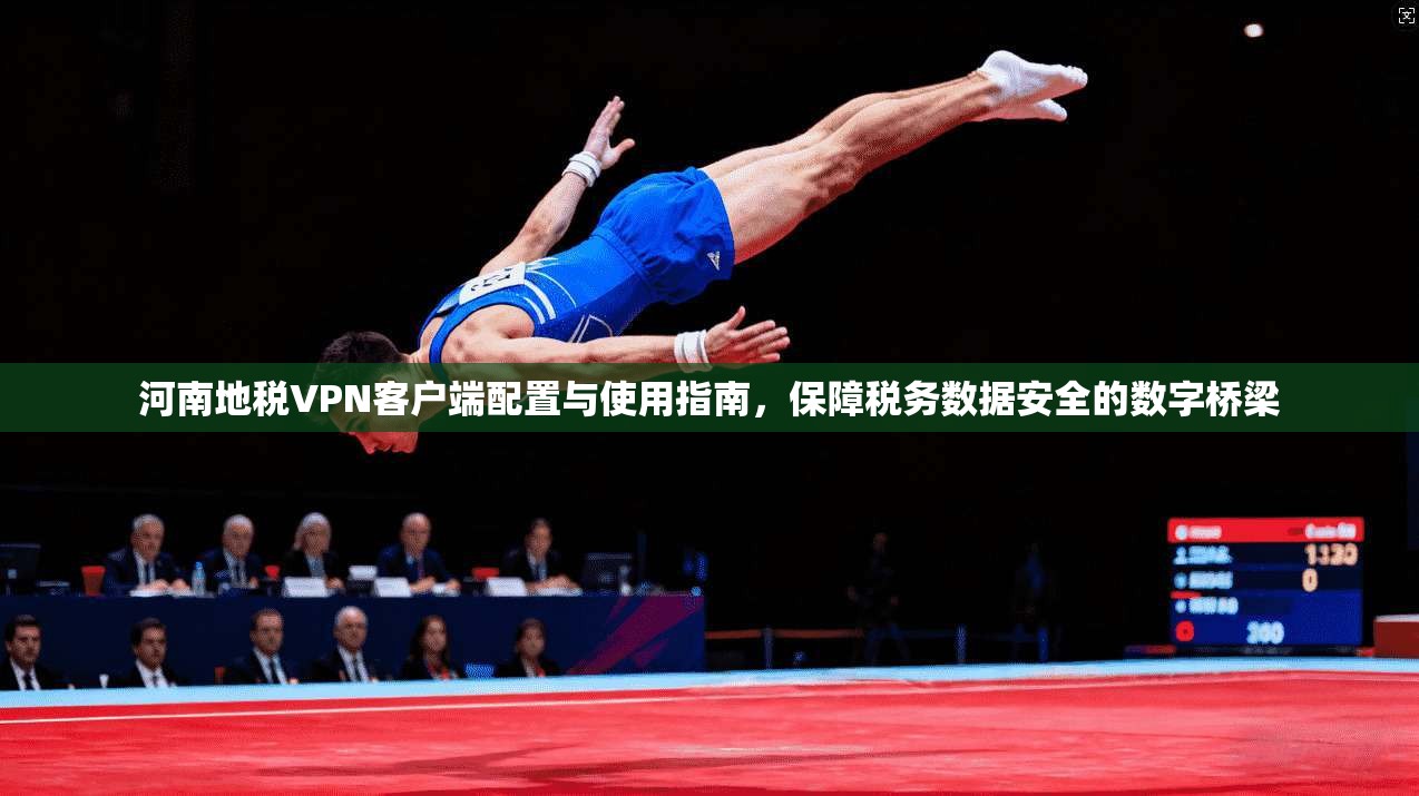 河南地税VPN客户端配置与使用指南,保障税务数据安全的数字桥梁 河南地税VPN客户端配置与使用指南,保障税务数据安全的数字桥梁