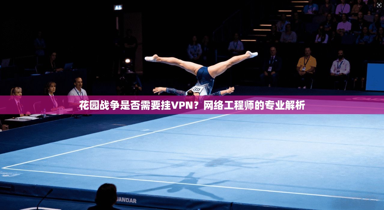 花园战争是否需要挂VPN?网络工程师的专业解析 花园战争是否需要挂VPN?网络工程师的专业解析