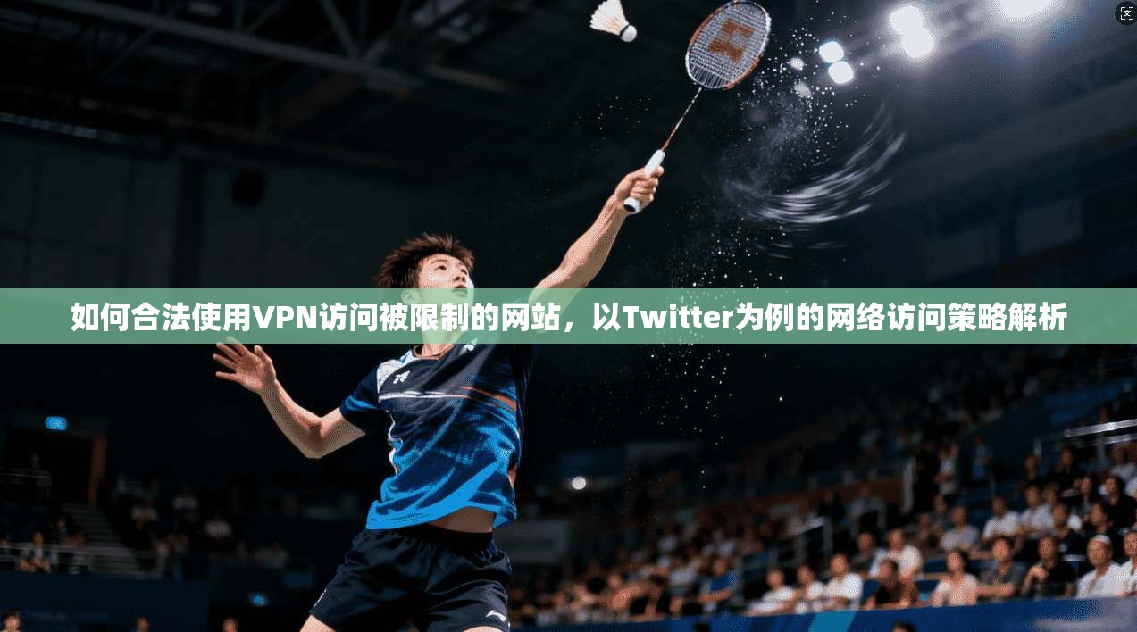 如何合法使用VPN访问被限制的网站,以Twitter为例的网络访问策略解析 如何合法使用VPN访问被限制的网站,以Twitter为例的网络访问策略解析