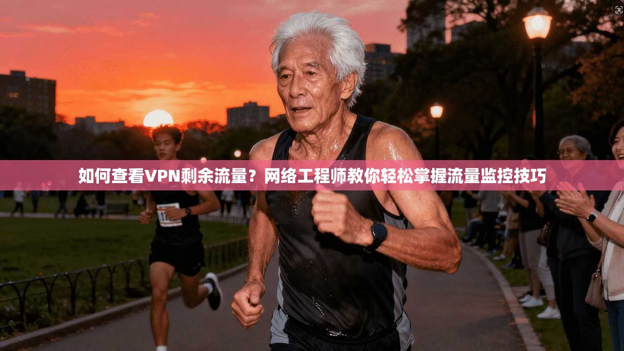 如何查看VPN剩余流量？网络工程师教你轻松掌握流量监控技巧