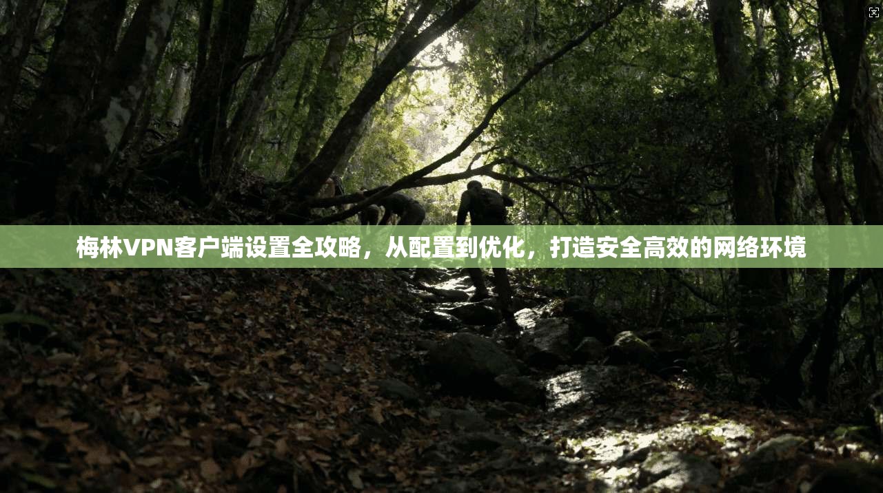 梅林VPN客户端设置全攻略,从配置到优化,打造安全高效的网络环境 梅林VPN客户端设置全攻略,从配置到优化,打造安全高效的网络环境