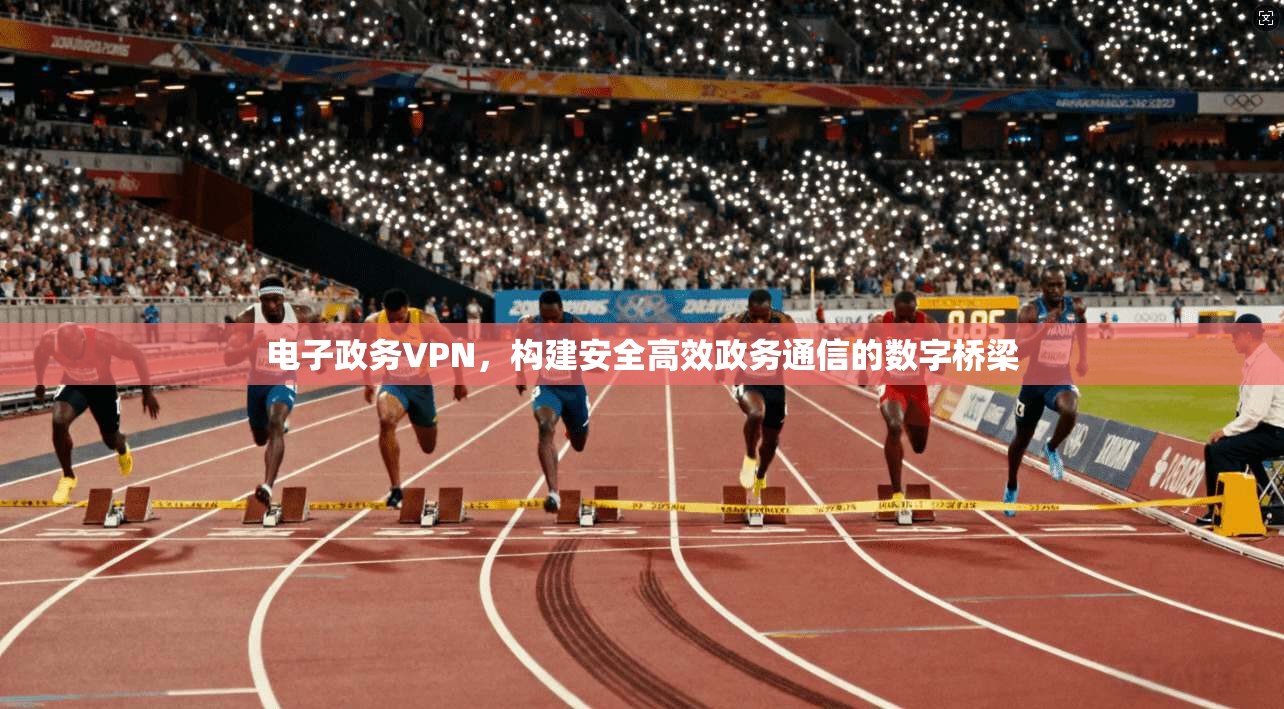 电子政务VPN,构建安全高效政务通信的数字桥梁 电子政务VPN,构建安全高效政务通信的数字桥梁