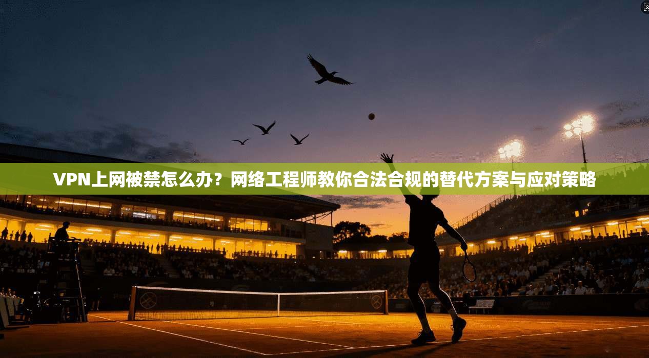 VPN上网被禁怎么办？网络工程师教你合法合规的替代方案与应对策略