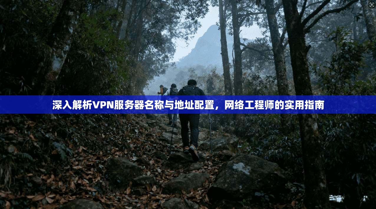 深入解析VPN服务器名称与地址配置,网络工程师的实用指南 深入解析VPN服务器名称与地址配置,网络工程师的实用指南