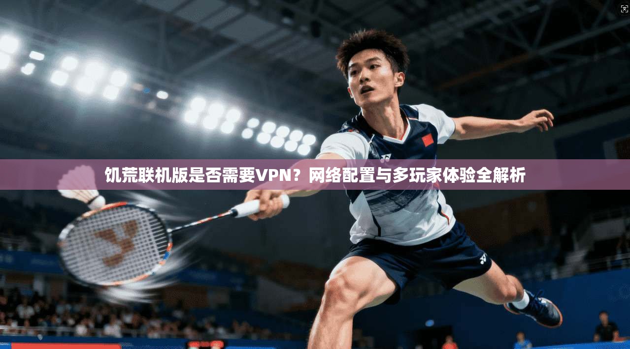 饥荒联机版是否需要VPN？网络配置与多玩家体验全解析