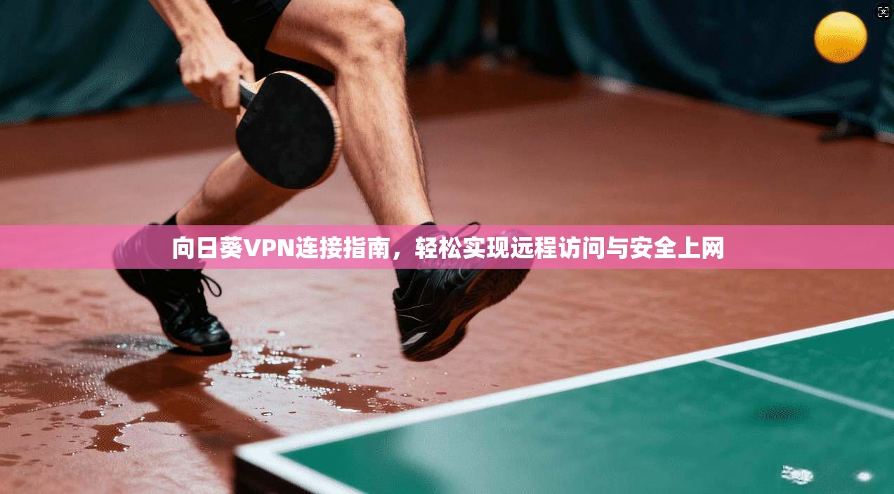 向日葵VPN连接指南,轻松实现远程访问与安全上网 向日葵VPN连接指南,轻松实现远程访问与安全上网