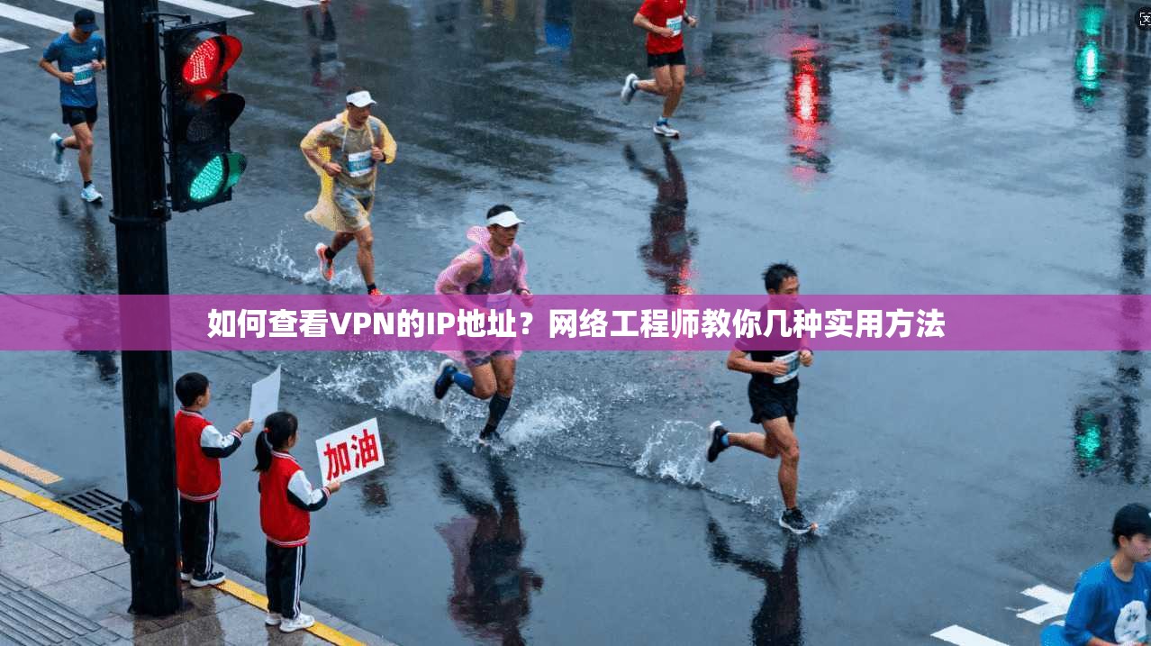 如何查看VPN的IP地址?网络工程师教你几种实用方法 如何查看VPN的IP地址?网络工程师教你几种实用方法