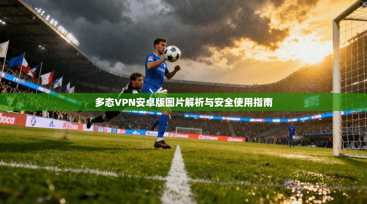 多态VPN安卓版图片解析与安全使用指南 多态VPN安卓版图片解析与安全使用指南