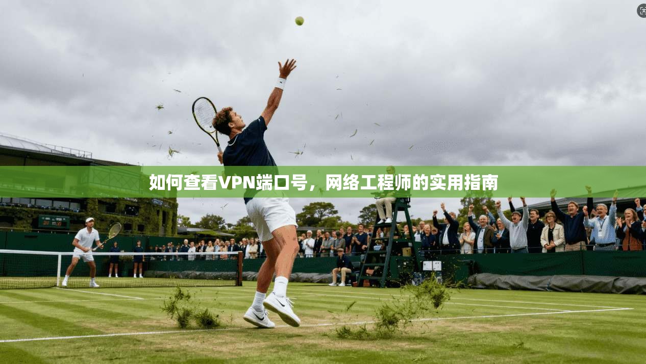 如何查看VPN端口号，网络工程师的实用指南